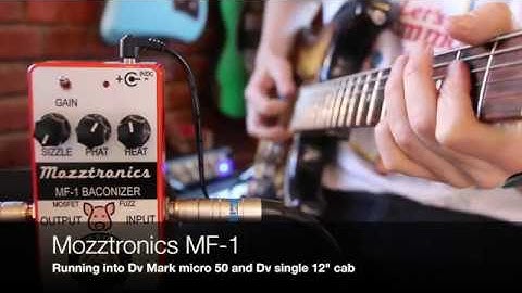 Mozztronics MF 1 Baconizer