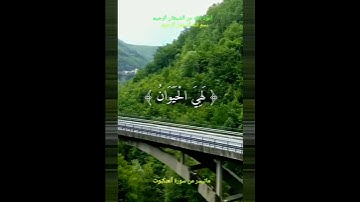 #وَمَا هَٰذِهِ الْحَيَاةُ الدُّنْيَا إِلَّا لَهْوٌ وَلَعِبٌ 🌴 ماتيسر من سورة #العنكبوت