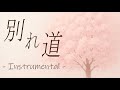 ガゼット the GazettE - 別れ道 Karaoke / Off vocal / Instrumental Covered by Ashun
