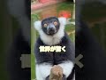 シャボテン動物公園のカリスマたち...✨
