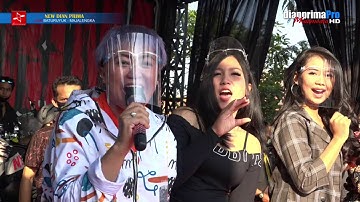 COCOTE TANGGA   ALL ARTIS