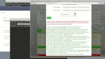 Update:  Creating a Jungle Testnet account and connecting Scatter (26 Feb 2019)