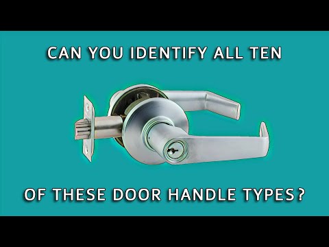 Can You Identify