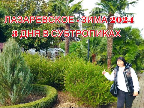 Лазаревское - февраль 2024. Отель "Матрешка". Набережная. Парк.