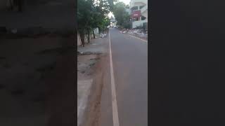 pig menace in eb colony