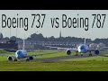 Now you can see the difference in size between Boeing 737 and 787