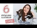 КРУТЫЕ РАЗГОВОРНЫЕ ФРАЗЫ С CASE для свободного общения │ English Spot - разговорный английский