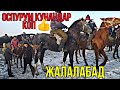 Мал Базар АЧЫЛДЫ Суукта ЖЫЛКЫ Базар КЫЗЫДЫ Жалалабад 21/11/2020