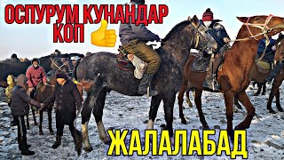 Мал Базар АЧЫЛДЫ Суукта ЖЫЛКЫ Базар КЫЗЫДЫ Жалалабад 21/11/2020