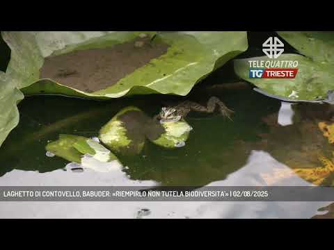 LAGHETTO DI CONTOVELLO, BABUDER: «RIEMPIRLO NON TUTELA BIODIVERSITA'» | 02/08/2025