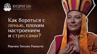 Как бороться с ленью, плохим настроением и стрессами?