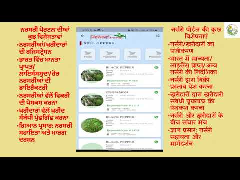 Buy horticulture crop seeds, saplings easily on National Nursery Portal