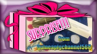 Surprise Package From Guineapigchannel568!!!