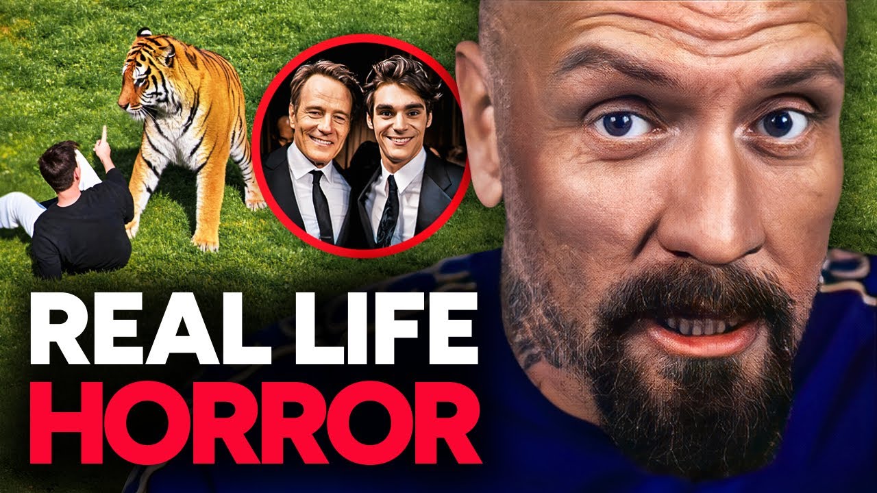 ⁣TRUE NEWS: Tiger Attack, Rollercoaster Fall & Hollywood Tragedy!