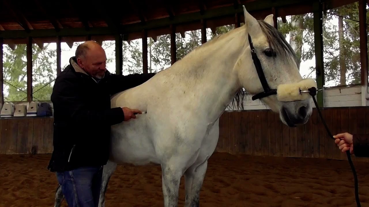 Woodworking Joints | Learn to make and use a Bridle Joint