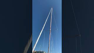 IMG 4473