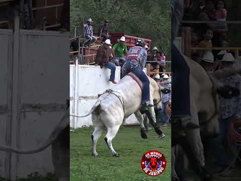 UN JARIPEO AL MERO ESTILO RANCHERO.!!