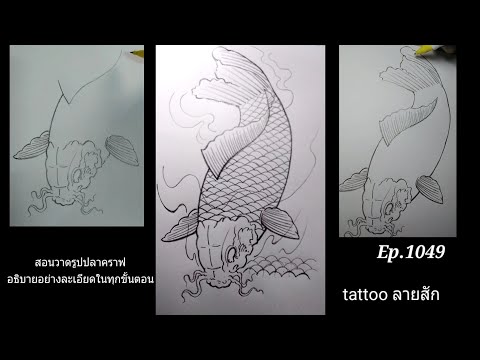 (คลิปที่1049)สอนวาดรูปปลาคราฟคาบูกิ อธิบายอย่างละเอียดในทุกขั้นตอน tattoo( how to draw Kio Fish)