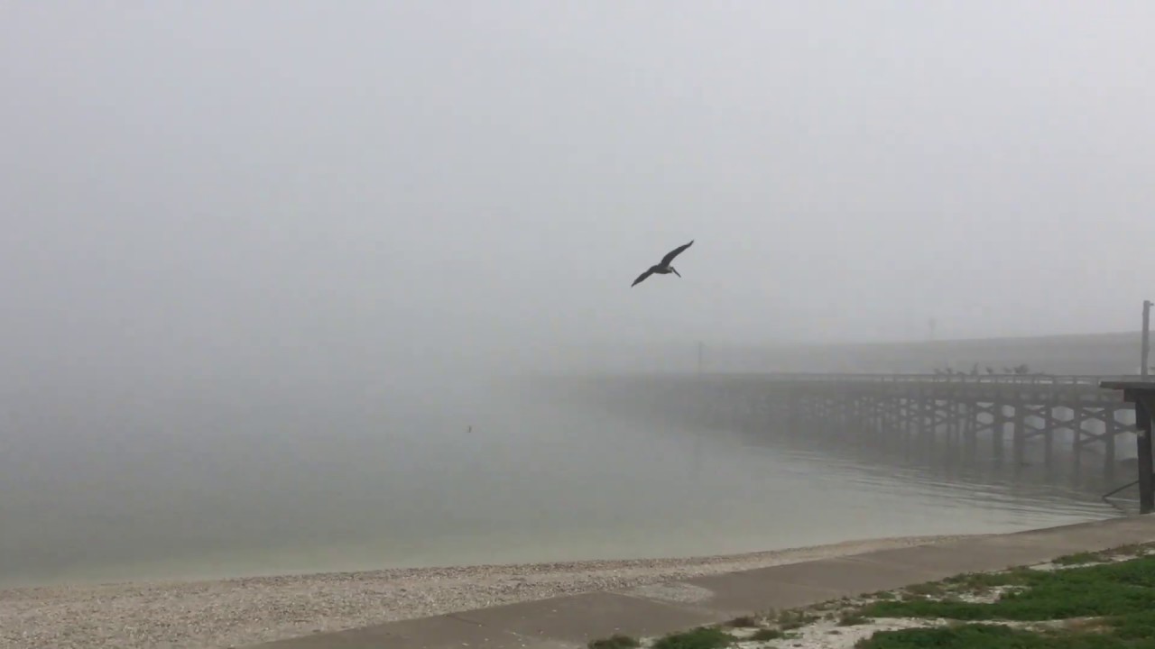 Copano Bay - The Fog tiny house plans