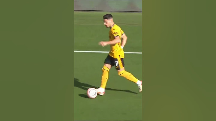 Crazy goal from Wolves!!!