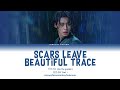 카더가든 (Car the garden) - Scars leave beautiful trace (Alchemy of souls OST Part 1) Han/Rom/Ina