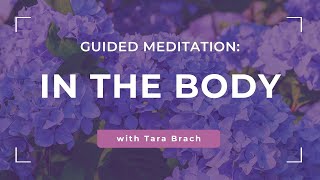 Guided Meditation: In The Body, with Tara Brach
