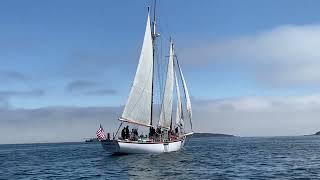 Boothbay Harbor Antique Boat Parade