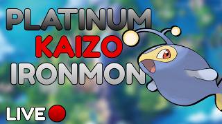 Continuing My First Ever PLATINUM KAIZO IRONMON | Live
