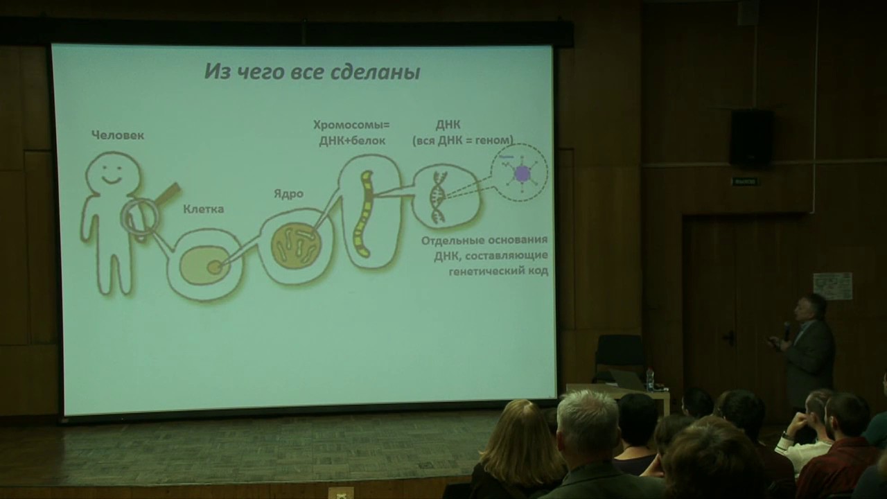 Создание новых органов. От стволовых клеток к органоидам