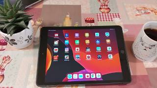 2 месяца с iPad 2019.