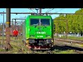 Godstog på Kolding station - Green Cargo 5334 - MZ1456 - MK616