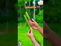 Creations with Clour Balloone Slingshots #Bamboo #Bambooart #shortsfeed #BambooArt @bambooidea
