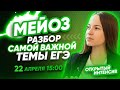 МЕЙОЗ - разбор самой важной темы ЕГЭ | Биология | PARTA