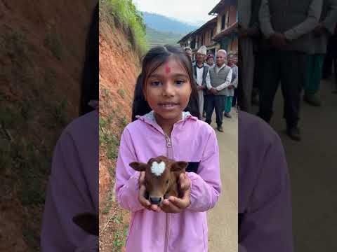 Gou Mata Hernu Tw Kasto Aachamma Funny Comedyforever Food Ternding Shortvideo 