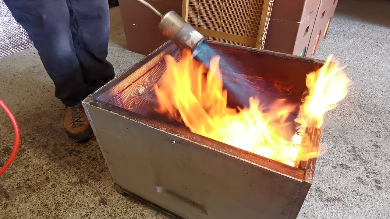 nettoyage d'un corps de ruche en bois