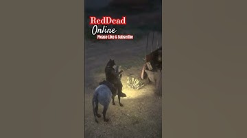 RDR2 online - Why Don