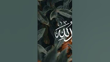سورة الطلاق |الشيخ ناصر القطامي