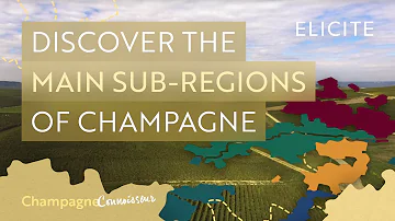Où se trouve la région de la Champagne ?