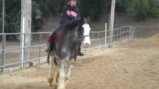 Anna Cantering Slate 5.avi