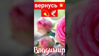 Вернусь💫💥🕊️