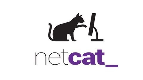 Creating a Netcat Listener in C Program
