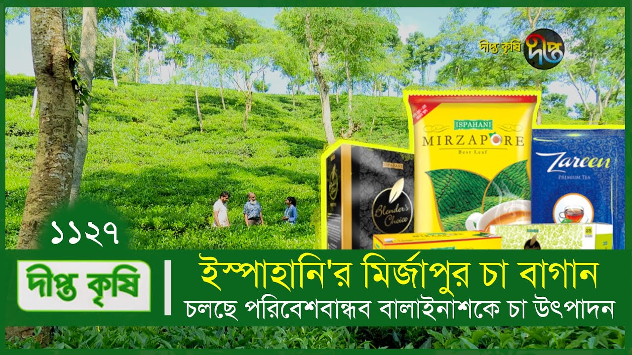 Ruscha sahnasiz kokrak sikish