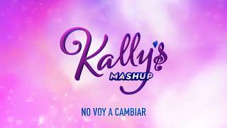 No Voy a Cambiar - Kally's Mashup Theme - Key of Life |Audio|