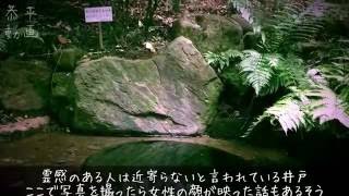 明治神宮 清正井 清正の井戸 Japanese Power Spot Kiyomasa No Ido Youtube 明治神宮 清正井 清正の井戸 Japanese Power Spot Kiyomasa No Ido Youtube
