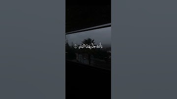 سورة البلد | لَا أُقْسِمُ بِهَذَا الْبَلَدِ وَأَنتَ حِلٌّ بِهَذَا الْبَلَدِ