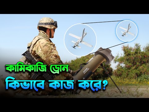 ভিডিও: কেন কামিকাজ বলা হয়?