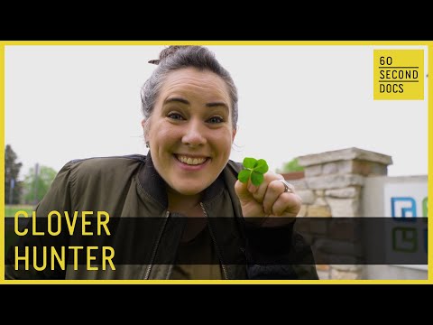 Finding 95,000+ Four-Leaf Clovers