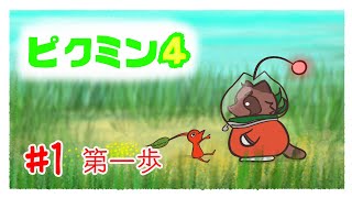 【ピクミン４】ピクミンと犬と狸【switch】