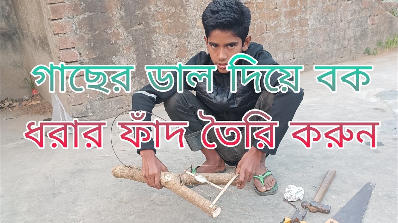 গাছের ডাল দিয়ে বক ধরার ফাঁদ তৈরি করুন কোন প্রকার ঝামেলা ছাড়াই খুব সহজেই