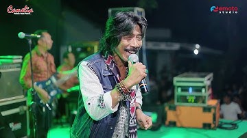 TANAMOR - GUS LUCKY - CAMELIA - KHITAN ZILDAN OKTAVIAN PRATAMA - BANDENGAN JEPARA